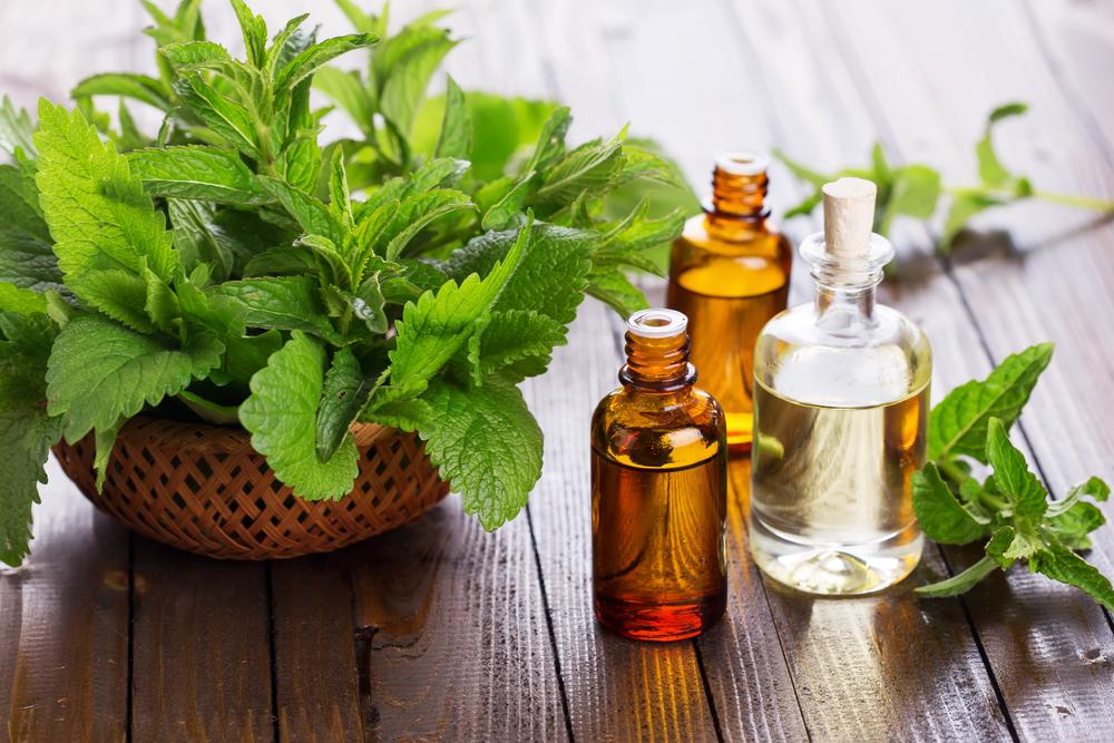 Peppermint Oil: A Potent Oil With the Power of Menthol