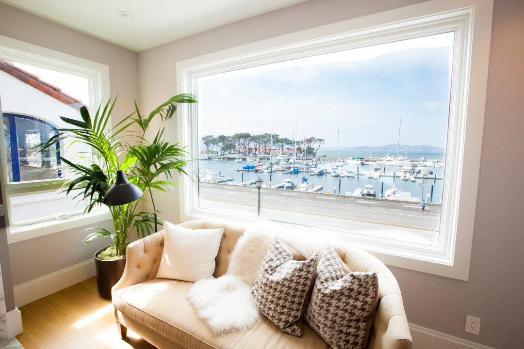 Serenity in the City: A Marina Masterpiece