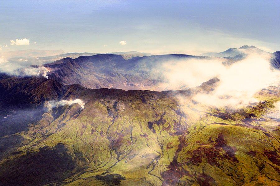 Indonesia: Researchers Find Six New Species in National Park