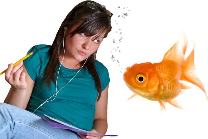 Millennials’ Attention Spans One Second Shorter Than Goldfish