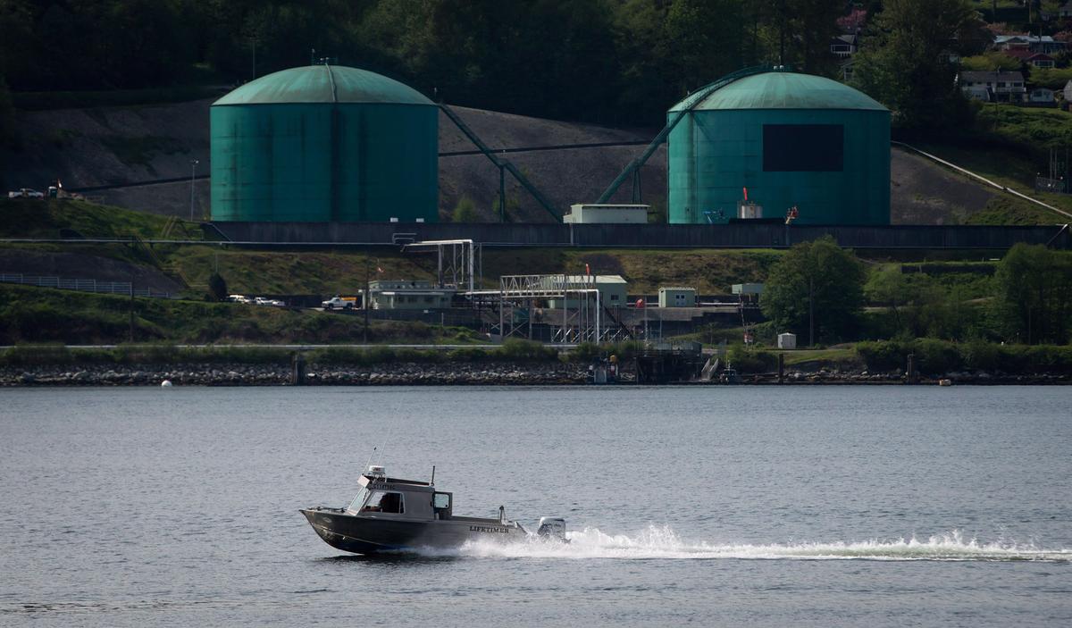 Expert Drops Out of ‘Biased’ Kinder Morgan Trans Mountain Pipeline Review
