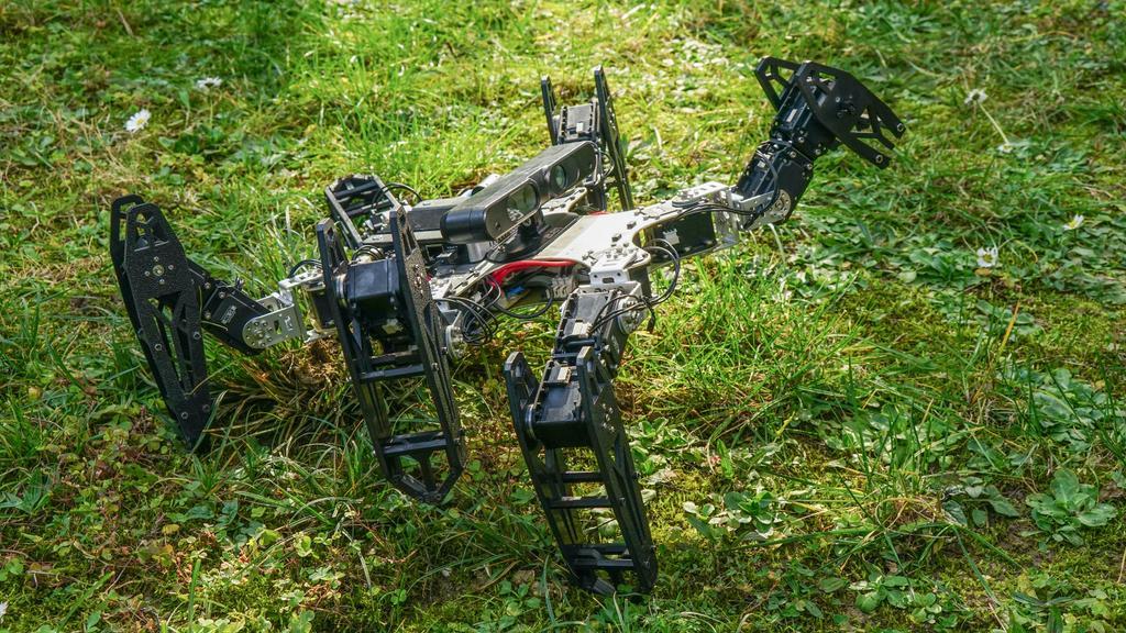 This Six-Legged Robot Learns to Limp Like an Animal (Video)