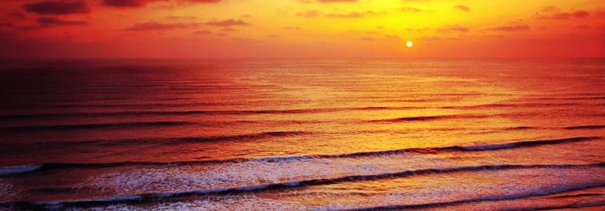 Healing from the Inside Out: How Emotions Can Cause “Dis”-ease and What You Can Do About It