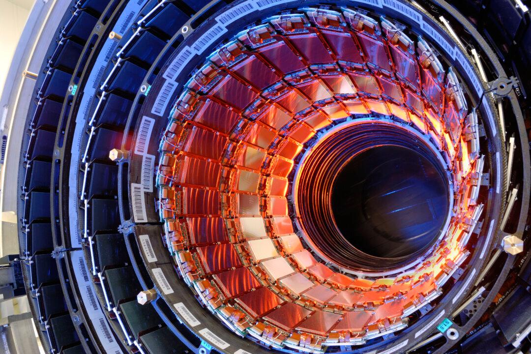The Large Hadron Collider Is Back in Action