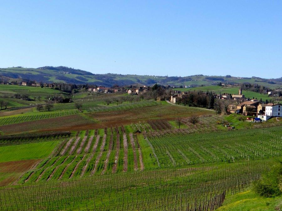 Relaxing in Bologna’s Countryside