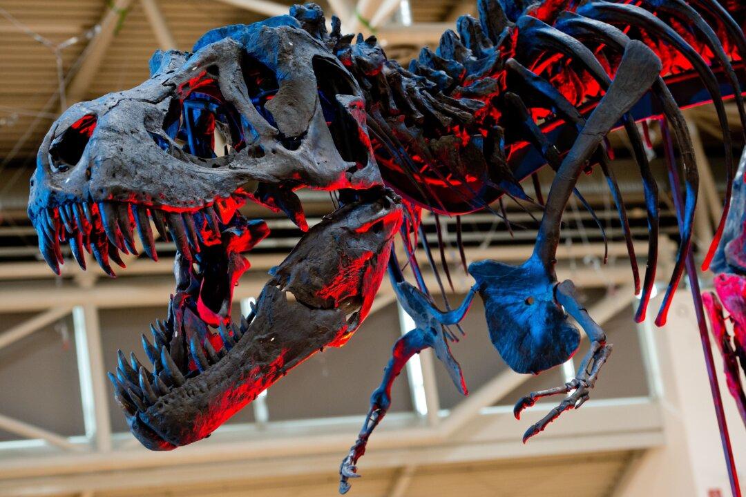 Could Geneticists Make Jurassic World a Reality?