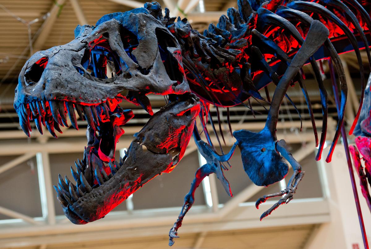 Could Geneticists Make Jurassic World a Reality?