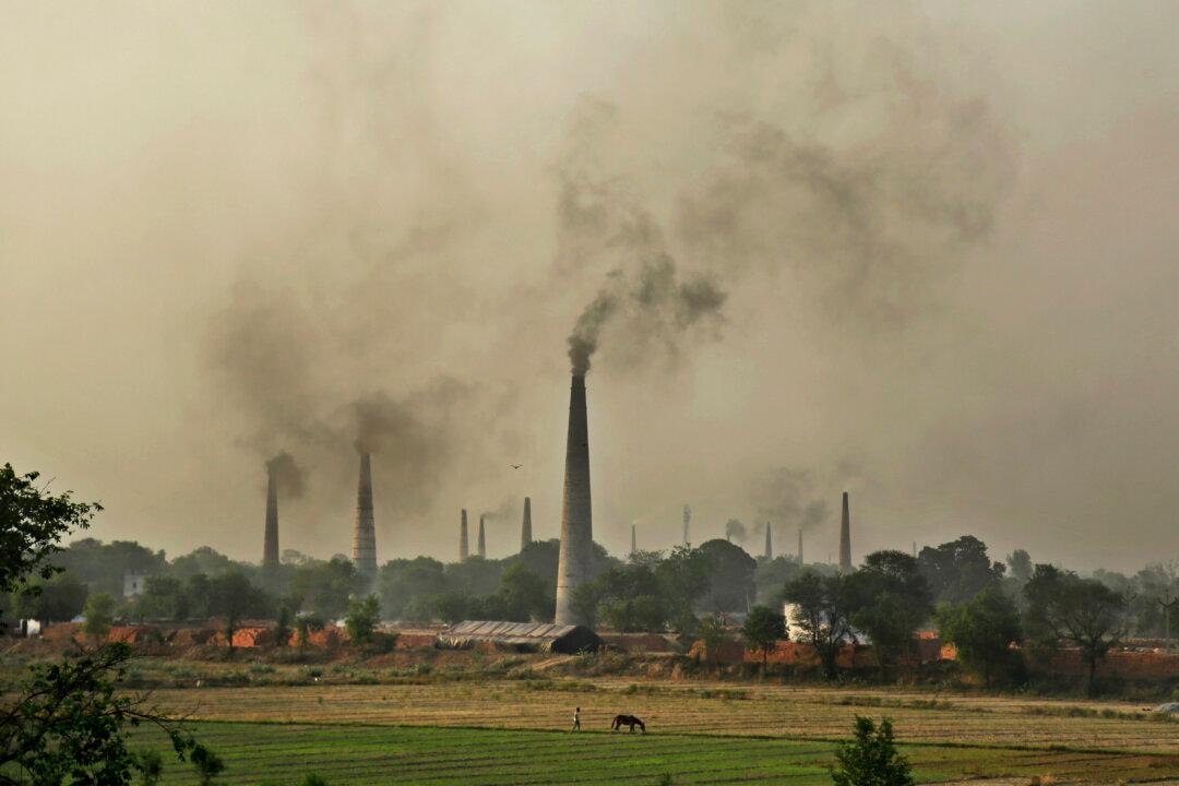 India Worries It Compromised Too Much on Climate Treaty