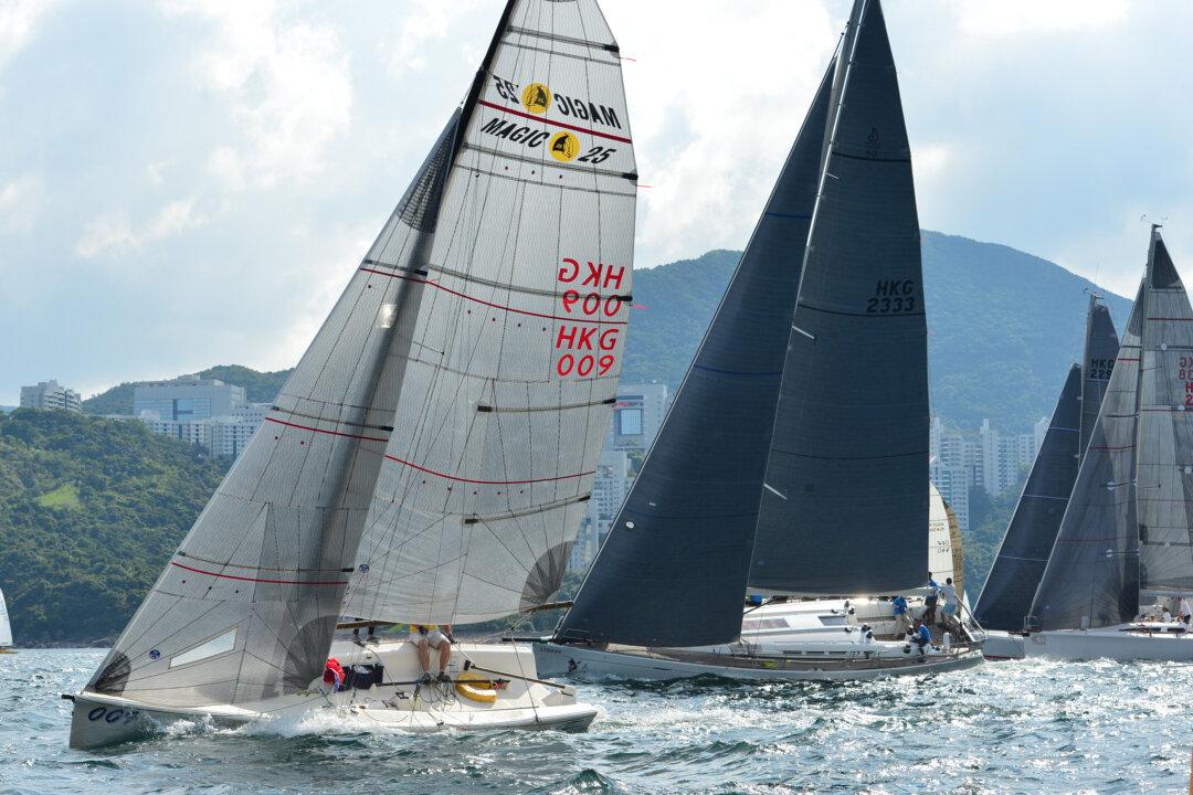 ‘Lighthorse’ in the Limelight Again