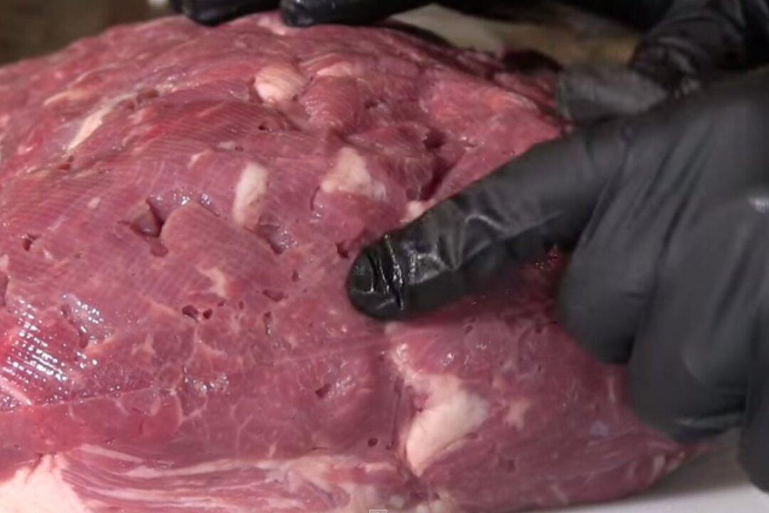 What is ‘Meat Glue’?