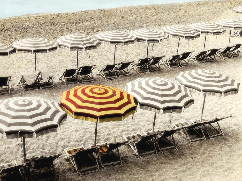 Shoot, Print, Paint: The Photograph as Canvas