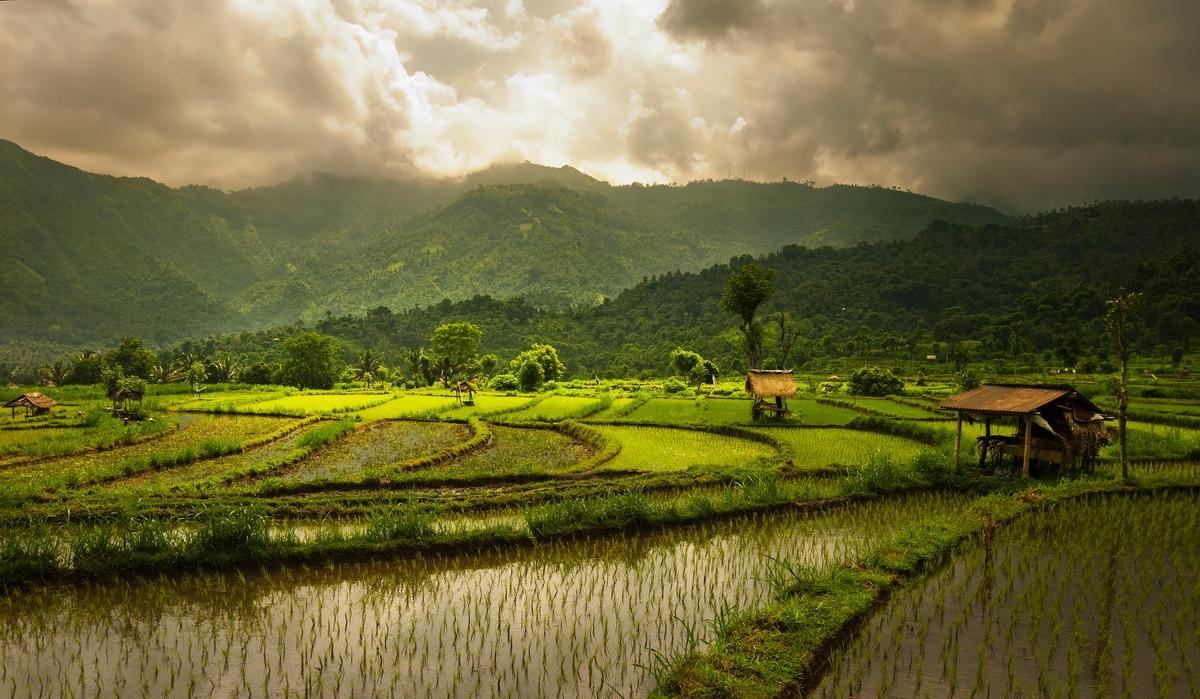 Rote Island East of Bali