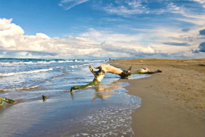 Secrets of Spain: The Delightful Delta de L'Ebre