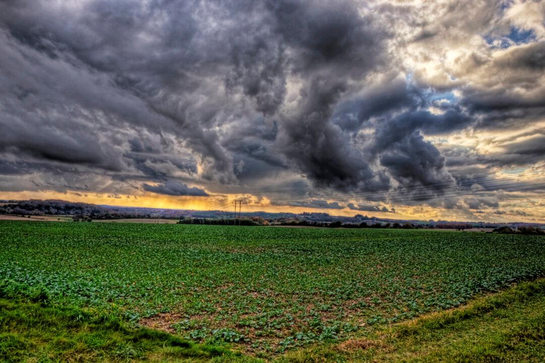 The Ground Exhales: Reducing Agriculture’s Greenhouse Gas Emissions