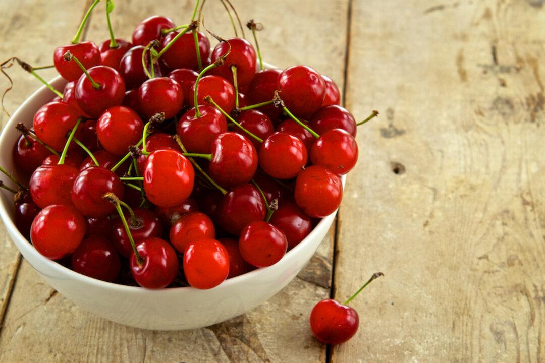 Not Just a Snack: How Tart Cherry Became a Recovery Essential