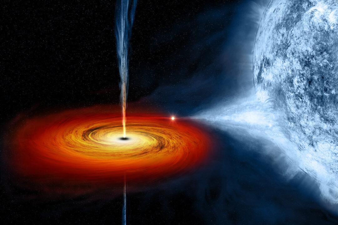 Don’t Fear Falling Into a Black Hole—You May Live on as a Hologram
