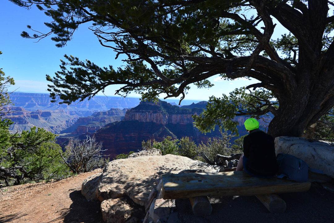 It’s Time to Visit the Unspoiled Grand Canyon North Rim