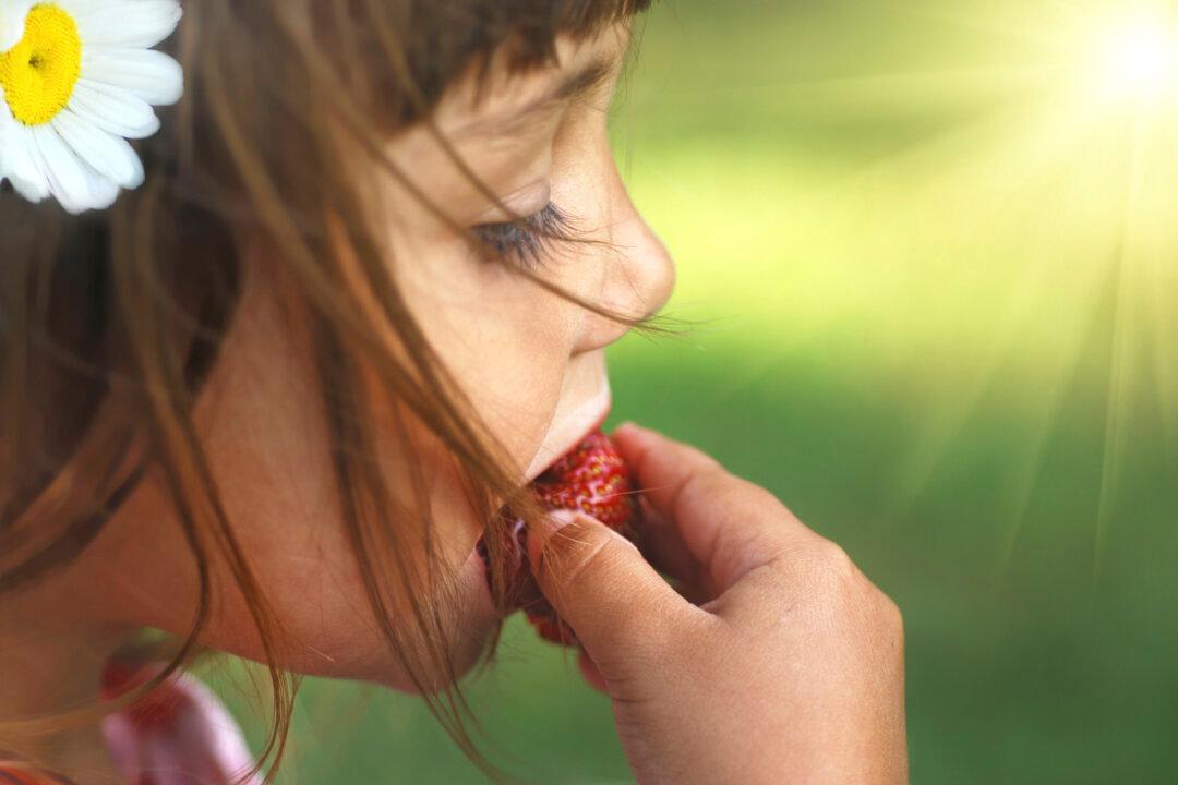 10 Fruits and Vegetables Perfect for Planting With Kids