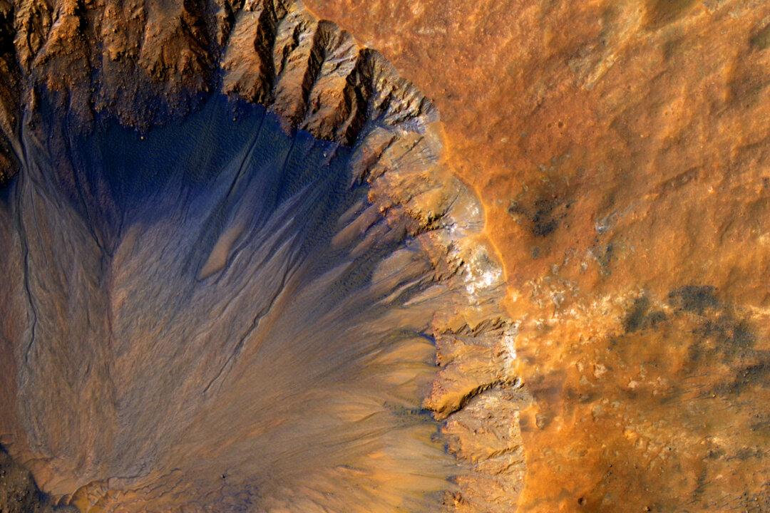 How Synthetic Bacteria Could Take Us to Mars