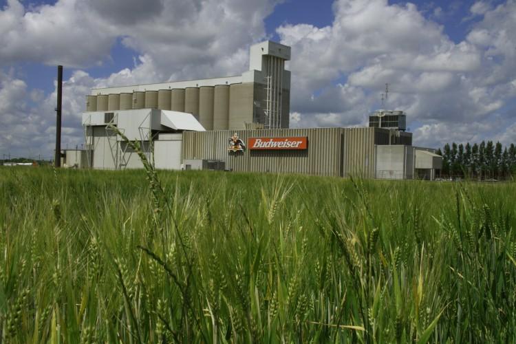 Tribe Sues Big Beer Makers for Damages