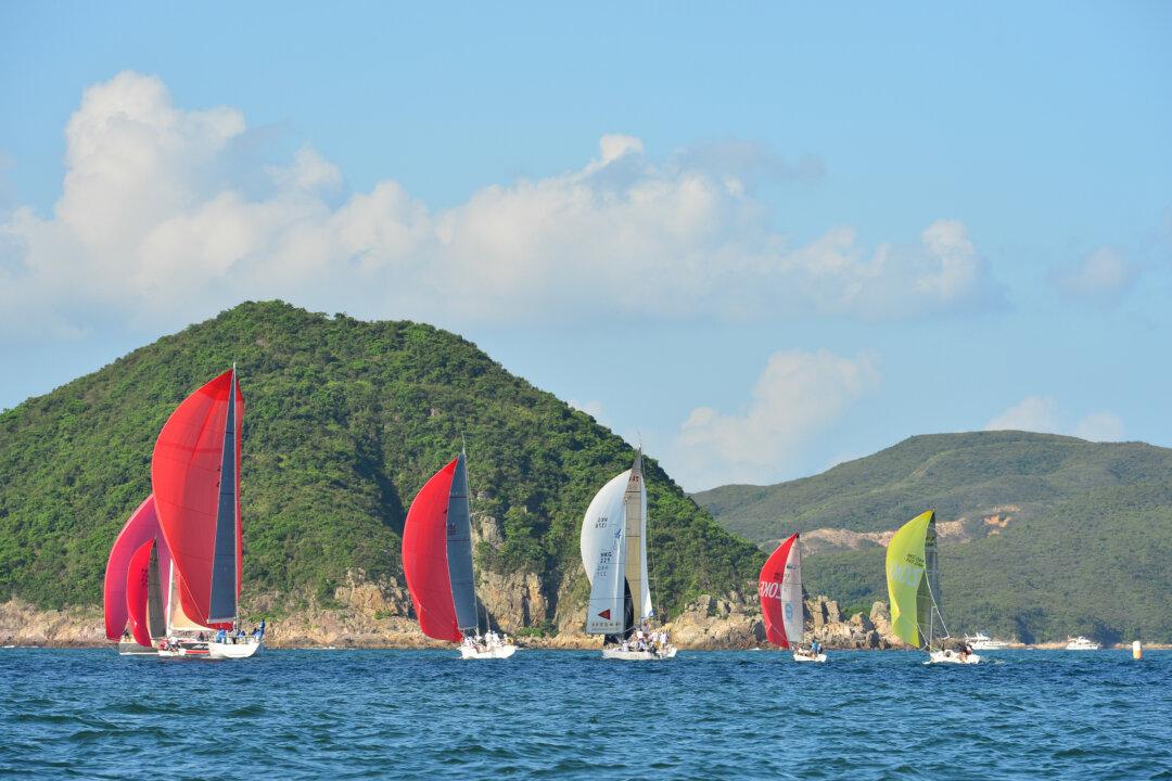 Summer Sunshine for Saturday Races