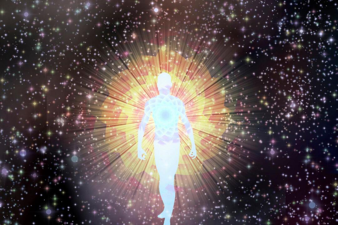 How the Human Body Is Affected by the Cosmic Environment