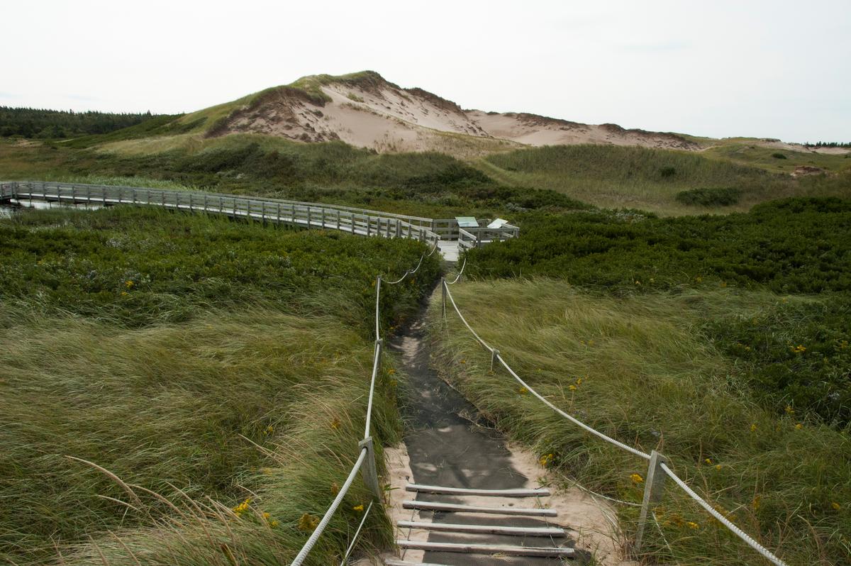 Beyond the Church Basement: The New PEI