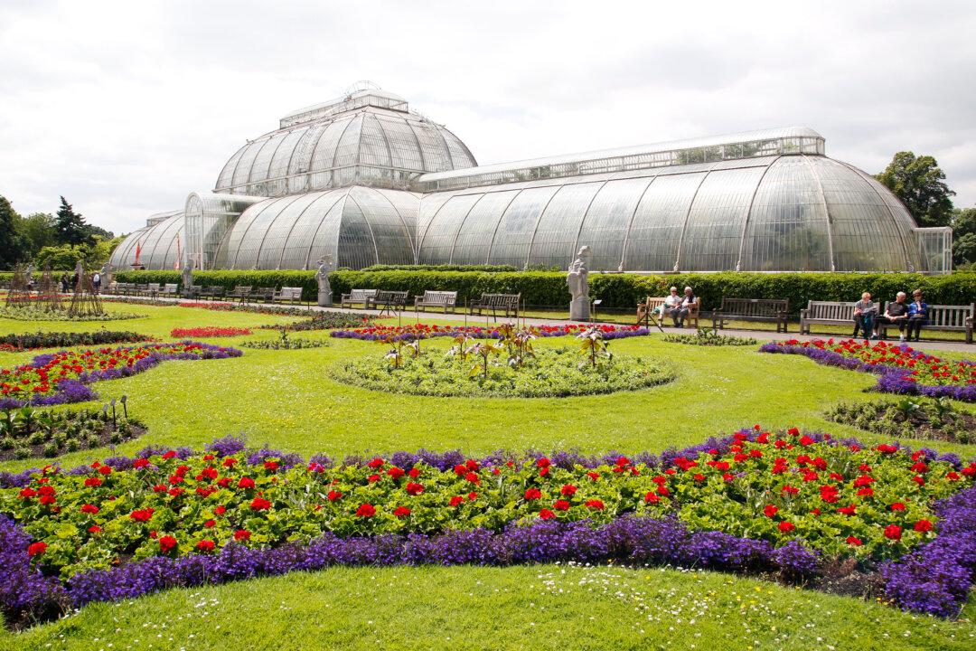 The Majestic Life of Plants at Kew Gardens