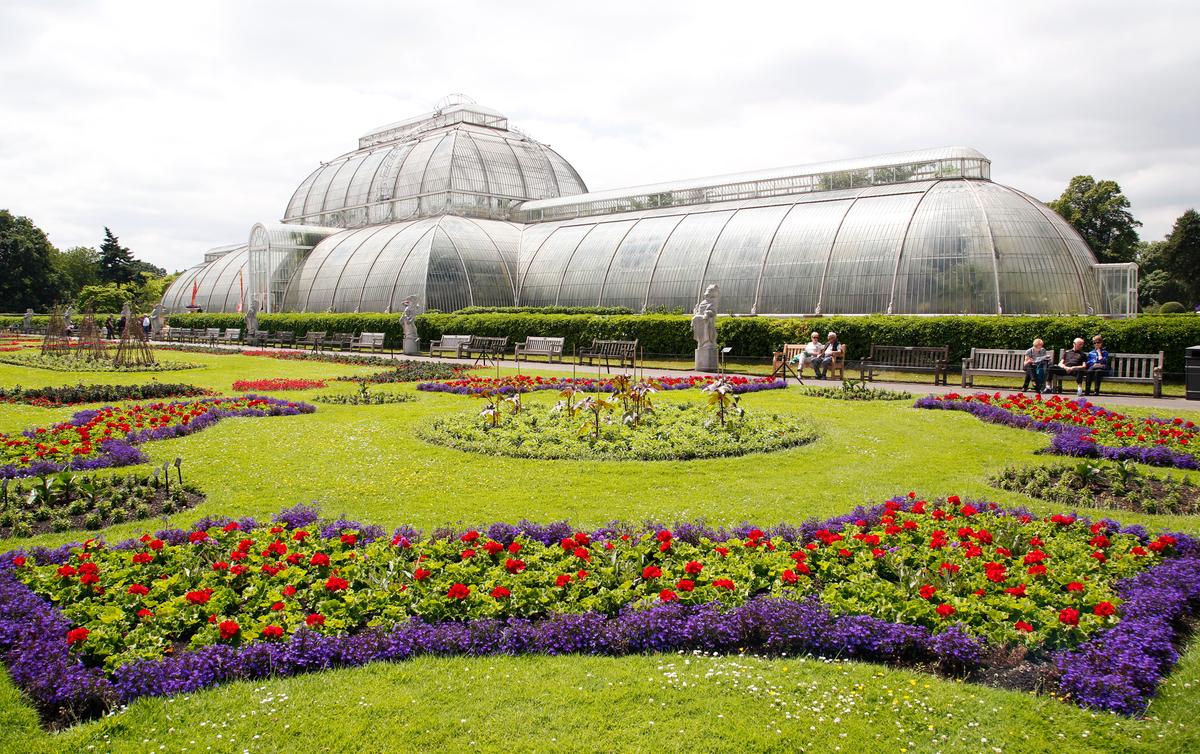 The Majestic Life of Plants at Kew Gardens
