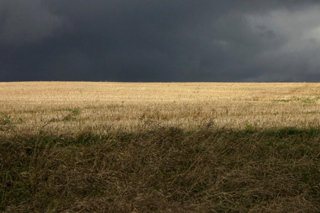 Huge, Unexplained Hole Smoothly Cut in Washington Field—and 3 Other Bizarre Events