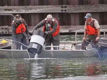 Great Lakes Restoration