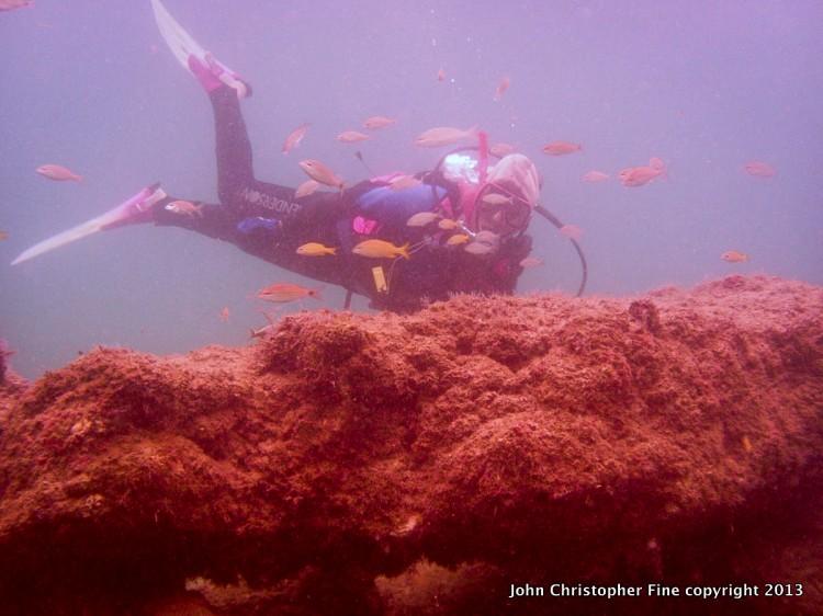 In Florida, New Artificial Reef for Diving