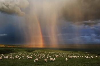 NTD Television Photo Competition Award Winners Announced in NY (Photos)