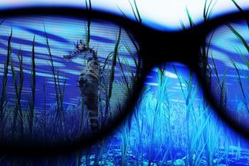 3D TVs: Sales Could Double Next Year