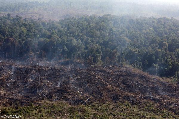 Fires Rage in Indonesian Park Illegally Trashed for Palm Oil