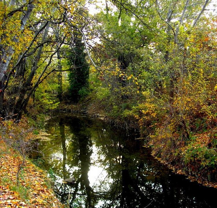Autumn Colors Near Sevastopol, Ukraine, In Photos