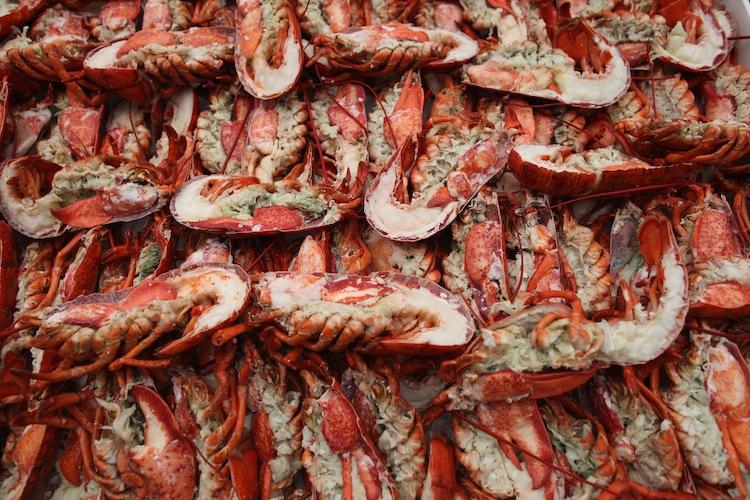 Maine’s Lobster Price Lowest in Two Decades