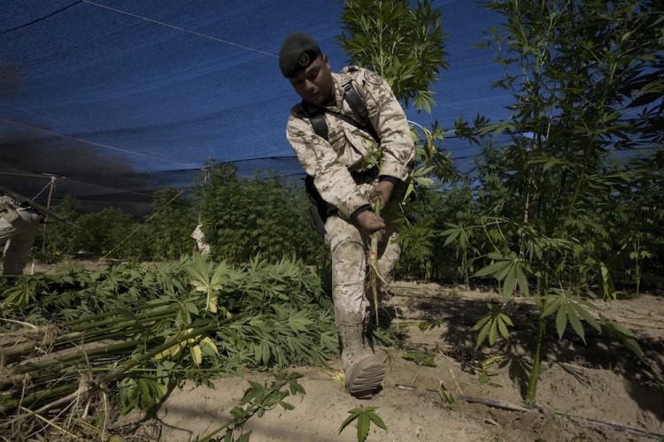 US Builds New Partnerships to Uproot Transnational Organized Crime