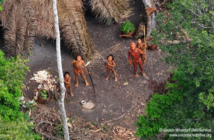 Uncontacted Tribes in the Amazon: Isolated by Choice