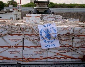 Aid Arriving in Somalia, But Not Enough