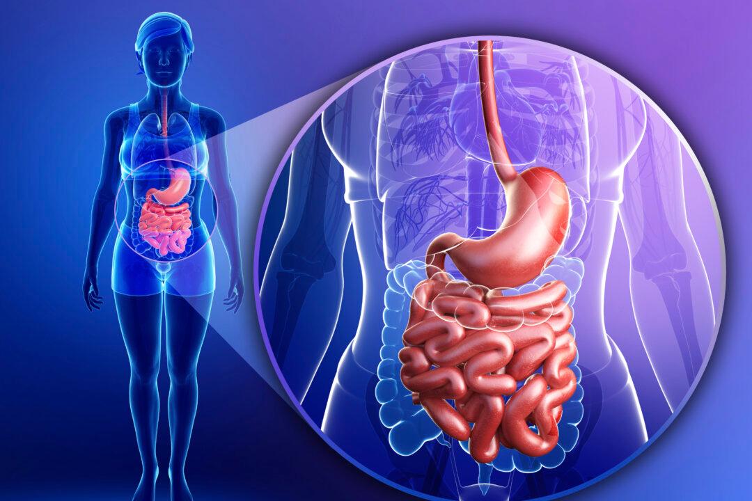 Some Guts Get More Energy From the Same Food