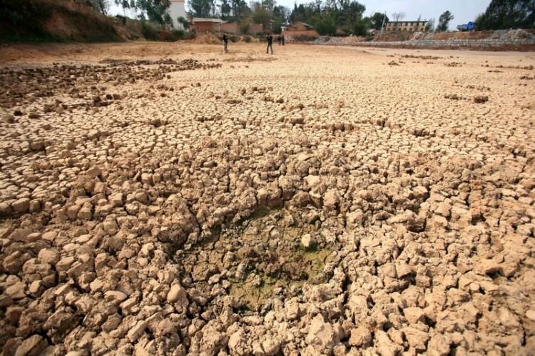 The Great Yunnan Drought