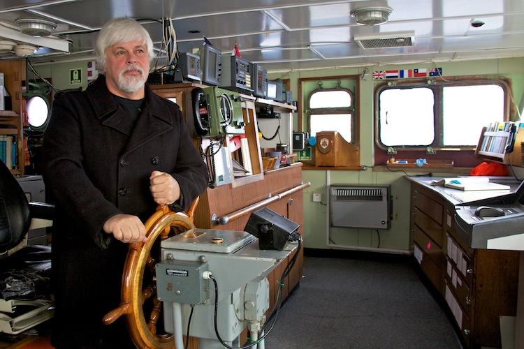Sea Shepherd Head Paul Watson Skips Bail in Germany