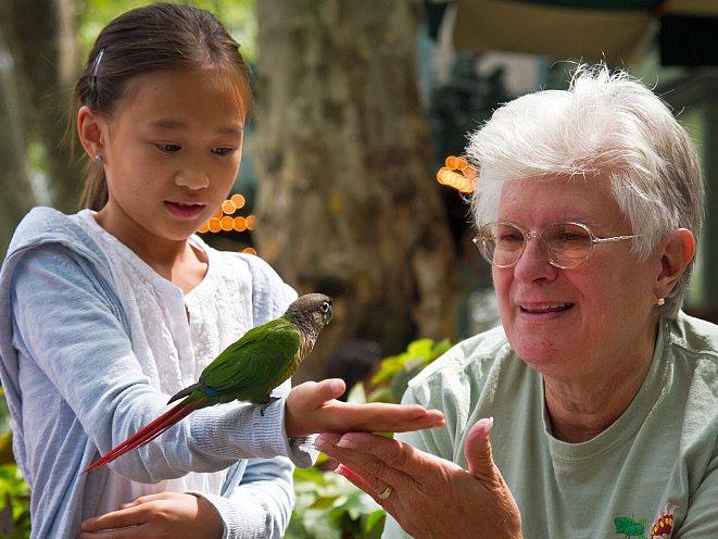 Rescued Exotic Birds Delight Children at Bryant Park