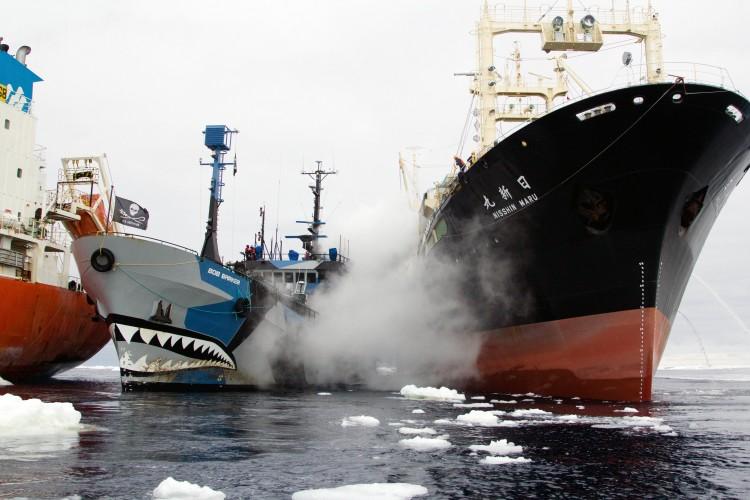 Japanese Armed Ship Joins Whalers in Face-off With Activists