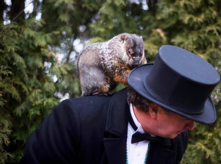 Groundhog Day 2012: Punxsutawney Phil Predicts Six More Weeks of Winter