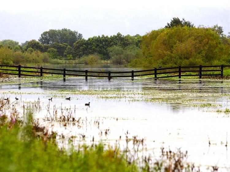 Evacuation Alert as Flooding Continues Across VIC and NSW