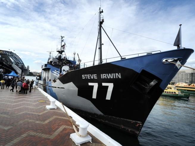 Japanese Whaling Fleet Dropped Fuel in Antarctic, Sea Shepherd Says