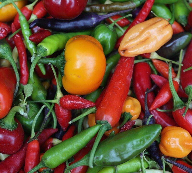 Red Hot Gourmet: Volume One