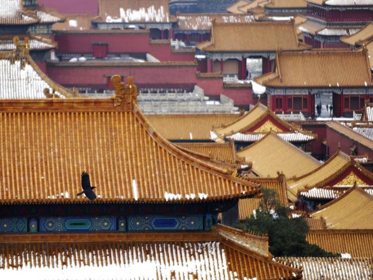 Blizzard Freezes Beijing Before Congress